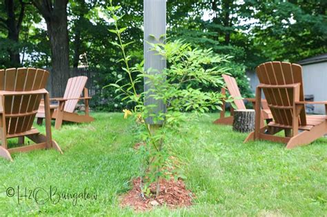 How To Build A DIY Outdoor Privacy Screen - H2OBungalow