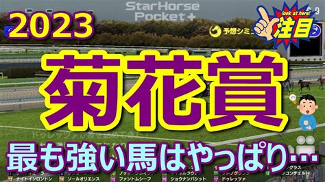 【菊花賞2023】最後の1冠菊花賞馬に輝くのは、皐月賞馬ソールオリエンスかダービー馬タスティエーラかそれともドゥレッツァ、サトノグランツ