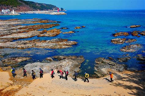 동구 해파랑길 걷기 길동무 양성과정 참여자 모집 시사인 투데이