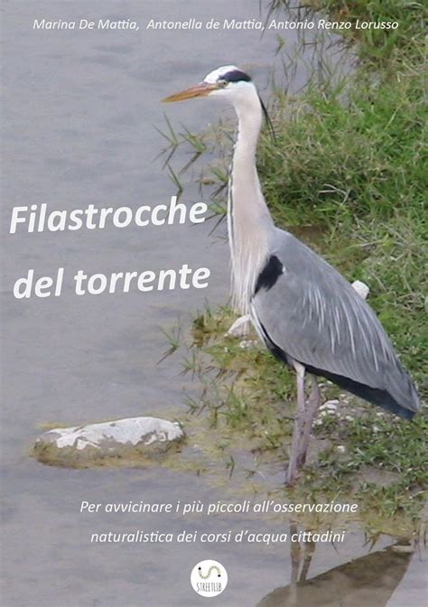 Amazon Filastrocche Del Torrente Italian Edition Kindle Edition