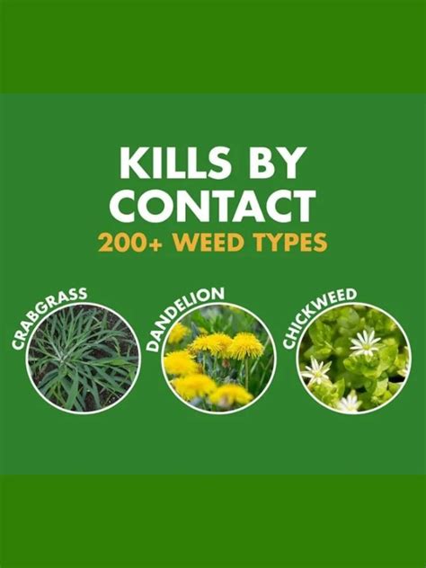 34 Common Types Of Weeds With Benefits & Drawbacks