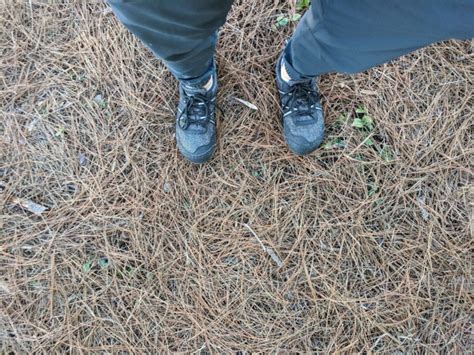 Shoe Review: Xero Shoes TerraFlex - The Trek