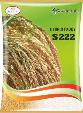 Hybrid Portfolio - Savannah Seeds Pvt. Ltd