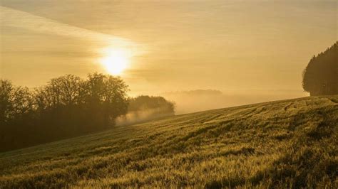 Wetter in Baden Württemberg Zunächst bewölkt und neblig dann kommt