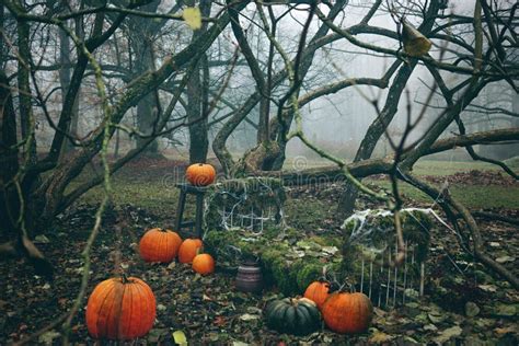 Halloween Pumpkins On Dark Spooky Forest. Stock Image - Image of house ...