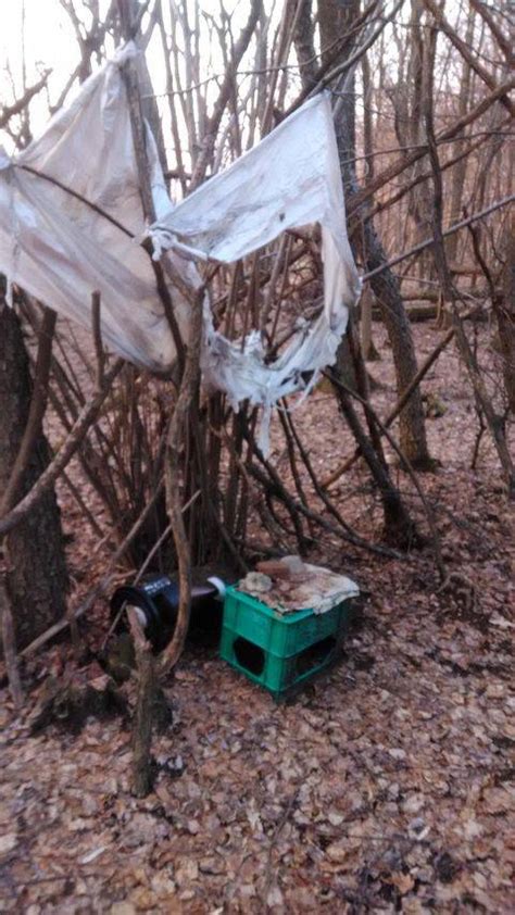 Rifiuti Nei Campi E Boschi Di Via Rodari Busto Arsizio Varesenews Foto