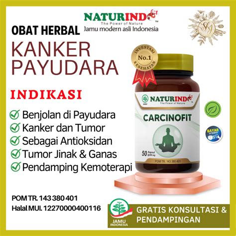 Jual Obat Kanker Payudara Paling Ampuh Herbal Tumor Kanker Serviks Usus