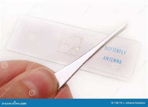 Butterfly Antenna Royalty Free Stock Image - Image: 138176