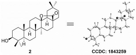 一种C12C13位取代齐墩果酸衍生物及其制备和应用的制作方法