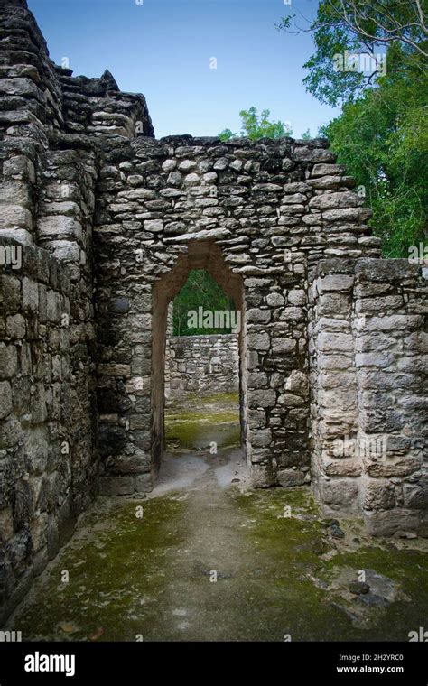 Calakmul, Mayan ruins, Mexico Stock Photo - Alamy