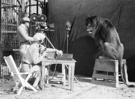 The MGM lion: The making-off – Home