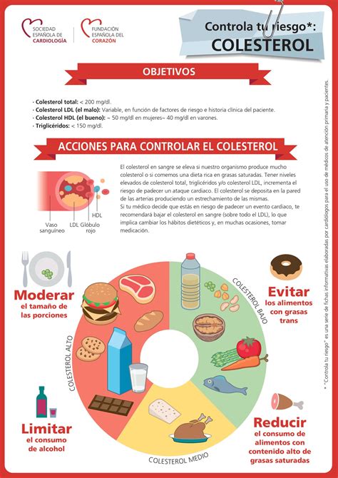 Alimentos Que Elevan El Colesterol Los Riesgos Y Prevención