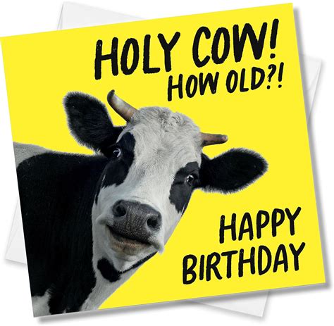 Punkcards Funny Birthday Card Holy Cow How Old Happy Birthday