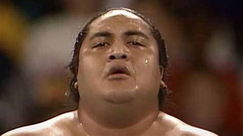 Yokozuna Sumo