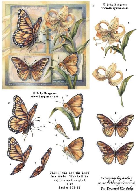 Pin By Evelyn Mccusker On 3d Butterflys Decoupage Printables