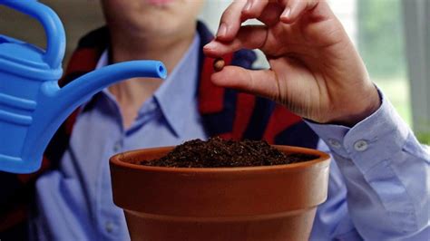 Premium Photo | Close up of gardener working on planting seed in pot ...