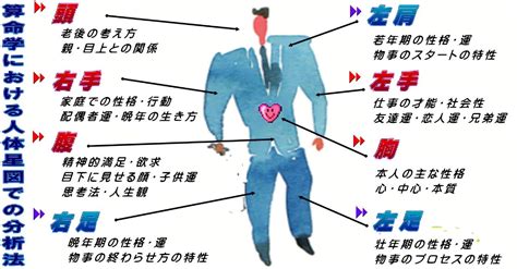 算命学の人体星図の見方｜ビジネス算命学