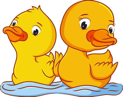 los dos patos están nadando en el agua en 2024