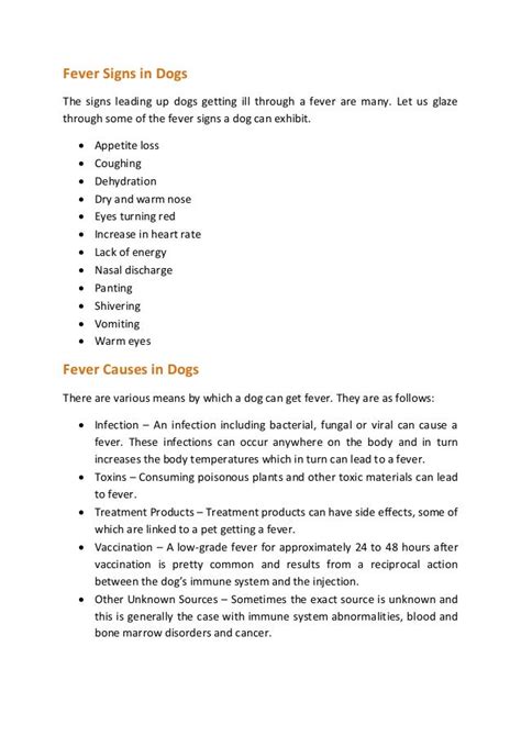 Fever in Dogs : Symptoms, Causes and Treatment