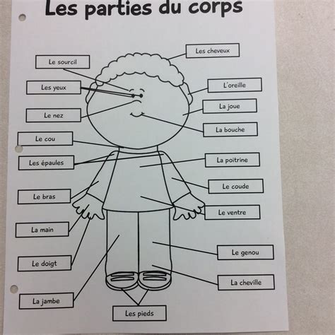 Mme Tosky S Blog Core French Les Parties Du Corps