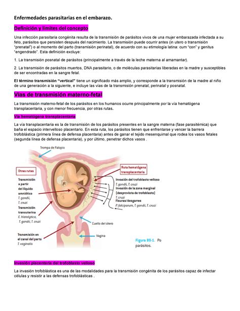 Enfermedades Parasitarias En El Embarazo Definici N Y L Mites Del