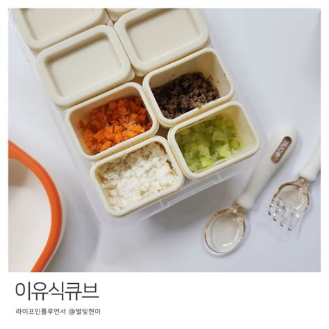 초기 토핑 이유식 야채 큐브 개수 무 오이 두부 큐브 보관 방법 네이버 블로그