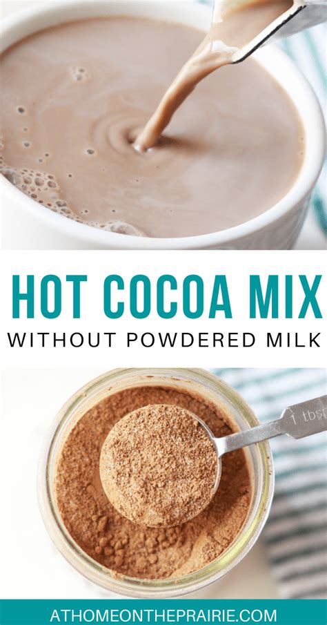 Homemade Hot Cocoa Mix Recipe