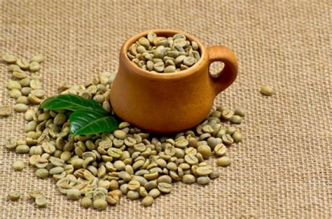 Зеленый кофе для похудения: что это, как пить, как готовить, отзывы ...