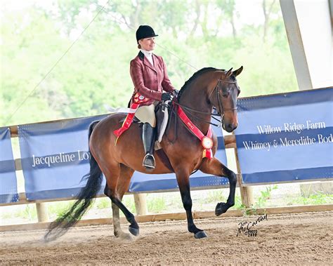 2023 Prairie State Classic - SATURDAY MORNING - JUNE 3 - Horse Show Proofs - 2023 Horse Shows ...