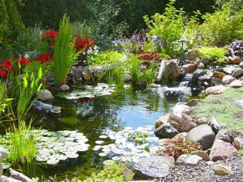 Faire Un Bassin De Jardin Id Es Fantastiques Emprunter