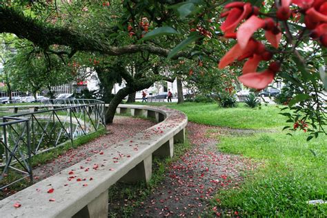 Viaje Por Pelotas Praça Coronel Pedro Osório