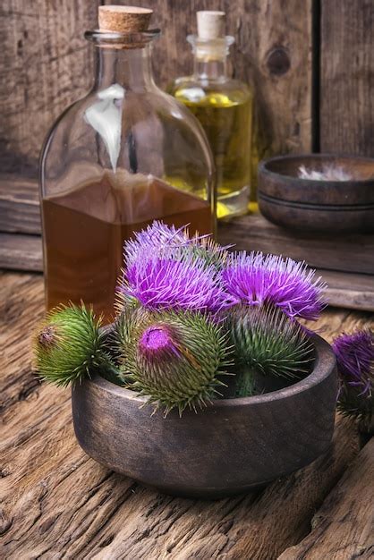 Premium Photo | Milk thistle flower