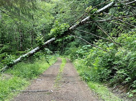 Cougar Mountain Trail Washington Off Road Trail Map And Photos Onx