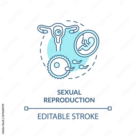 Sexual Reproduction Concept Icon Human Physiology Sex Education Idea