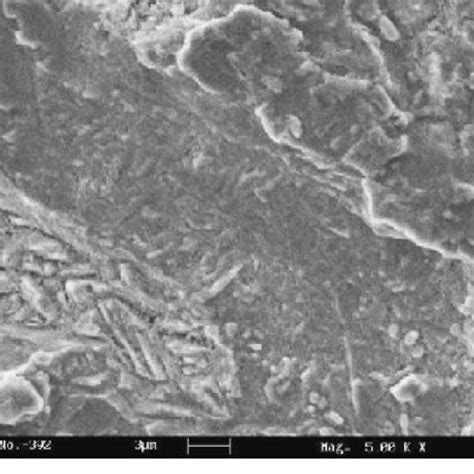 SEM Photomicrograph Of The Surface Of Mild Steel After Immersion In LMT