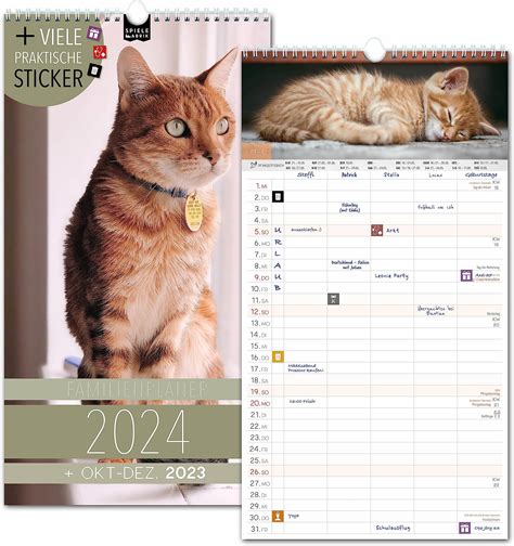 Calendrier Familial 2024 5 Colonnes Motif Chats Planificateur