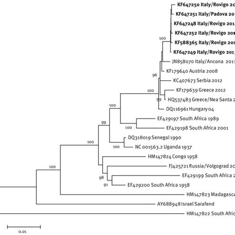 Molecular Phylogenetic Analysis Of Six West Nile Virus Lineage 2 Genome Download Scientific