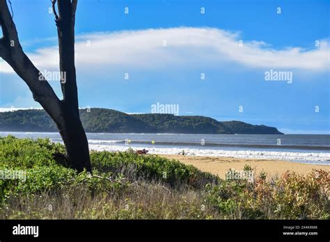 beach  big surf stock photo alamy