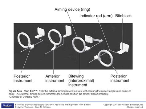 The Periapical Examination Paralleling Technique Ppt Video Online