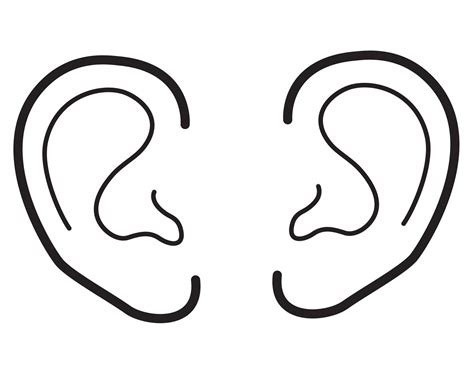 An Illustration Of Two Ears Ear Picture Ear Coloring Pages