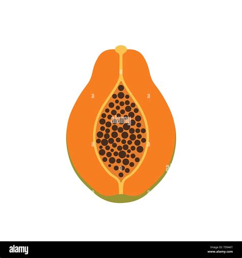 Papaya Fruit Icon Symbol Simple Design Vector Eps10 Stock Vector Image