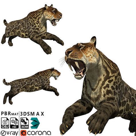 3d Model Smilodon Jaguar Vr Ar Low Poly Cgtrader