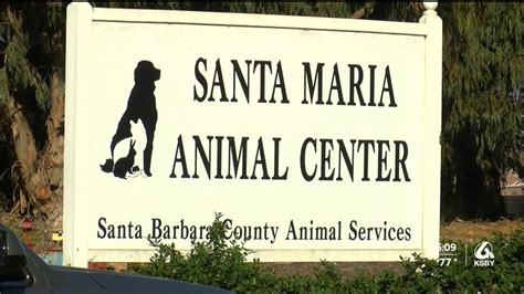 Santa Barbara Co. animal organizations hold Black Friday weekend ...