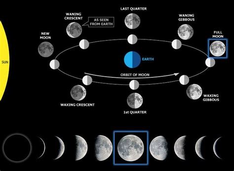bentuk bulan mengikut hari