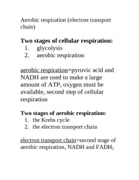 aerobic respiration electron transport chain - Aerobic respiration ...