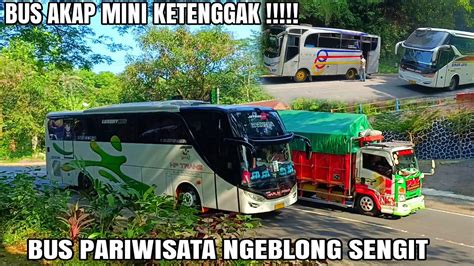 Bus Pariwisata Ngeblong Sengit Bus Akap Mini Ketenggak Youtube