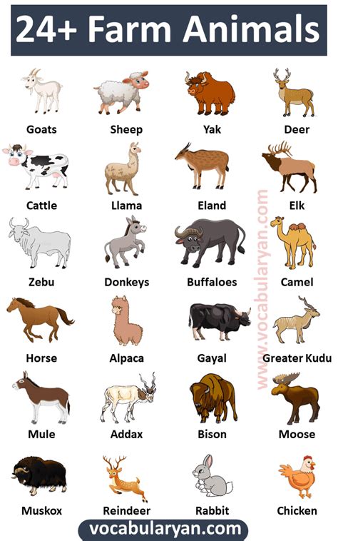 farm animals pictures  names chart  daniel shears blog