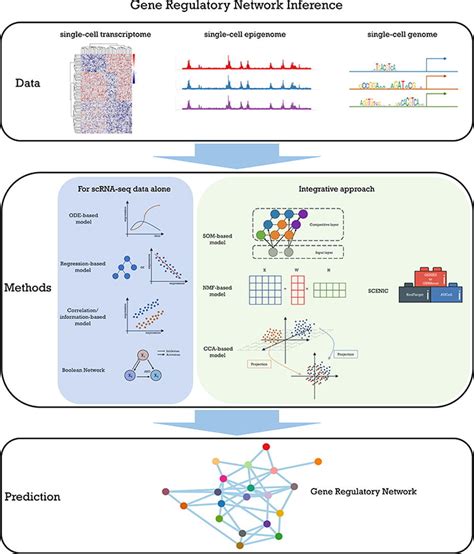 Integration Of Single Cell Multi Omics For Gene Regulatory Network