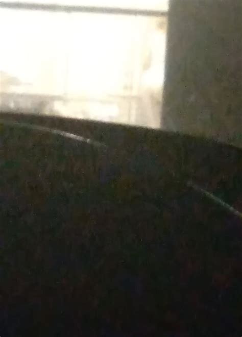 Fat Ass White Hoe ThisVid