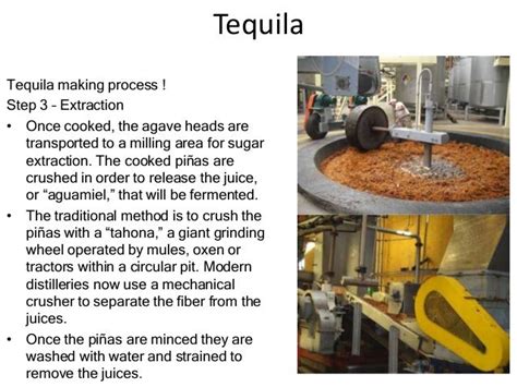 Tequila production and its types